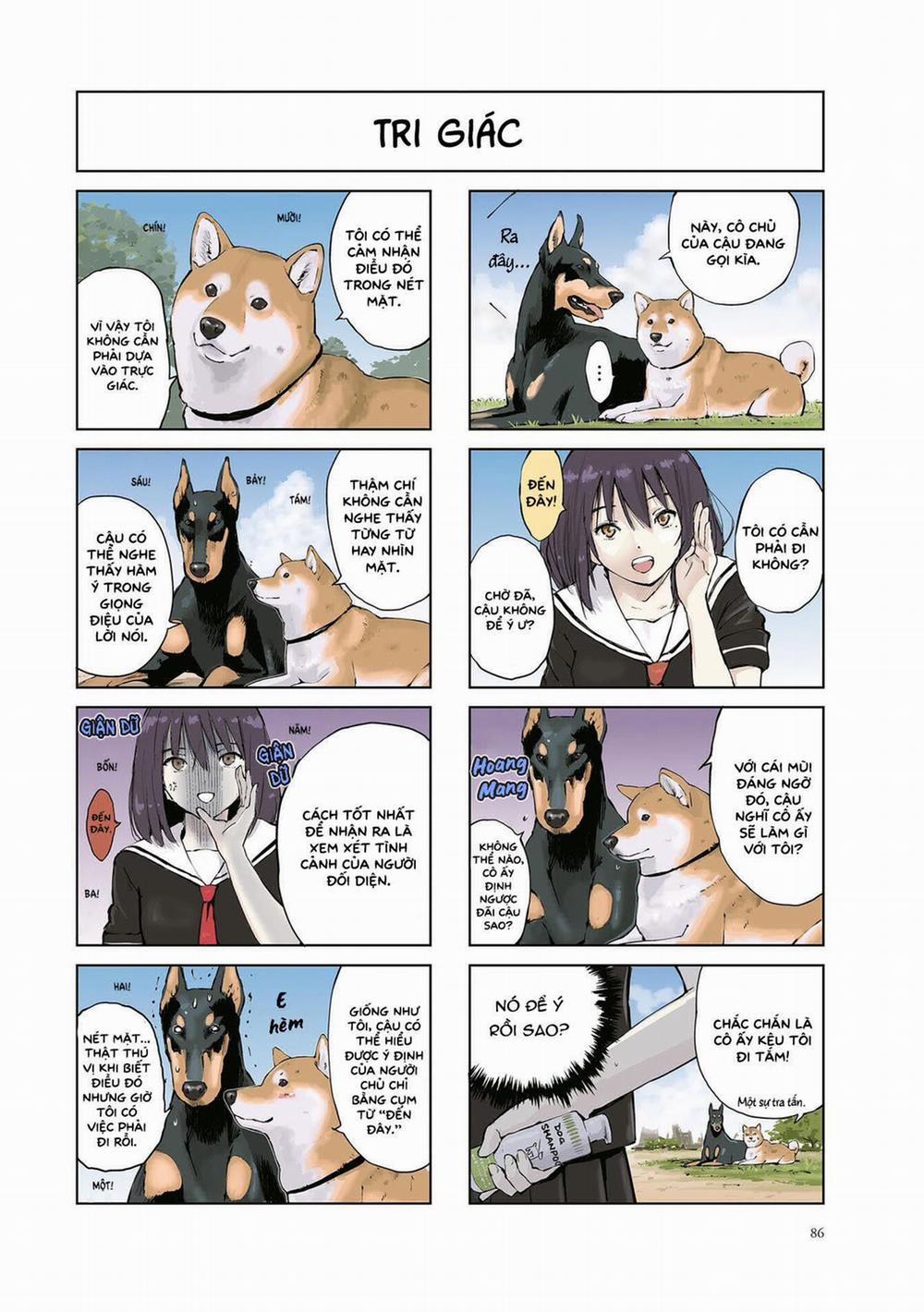 Lang Thang Miền Tận Thế Với Chú Chó Shiba Của Tôi 12 trang 3