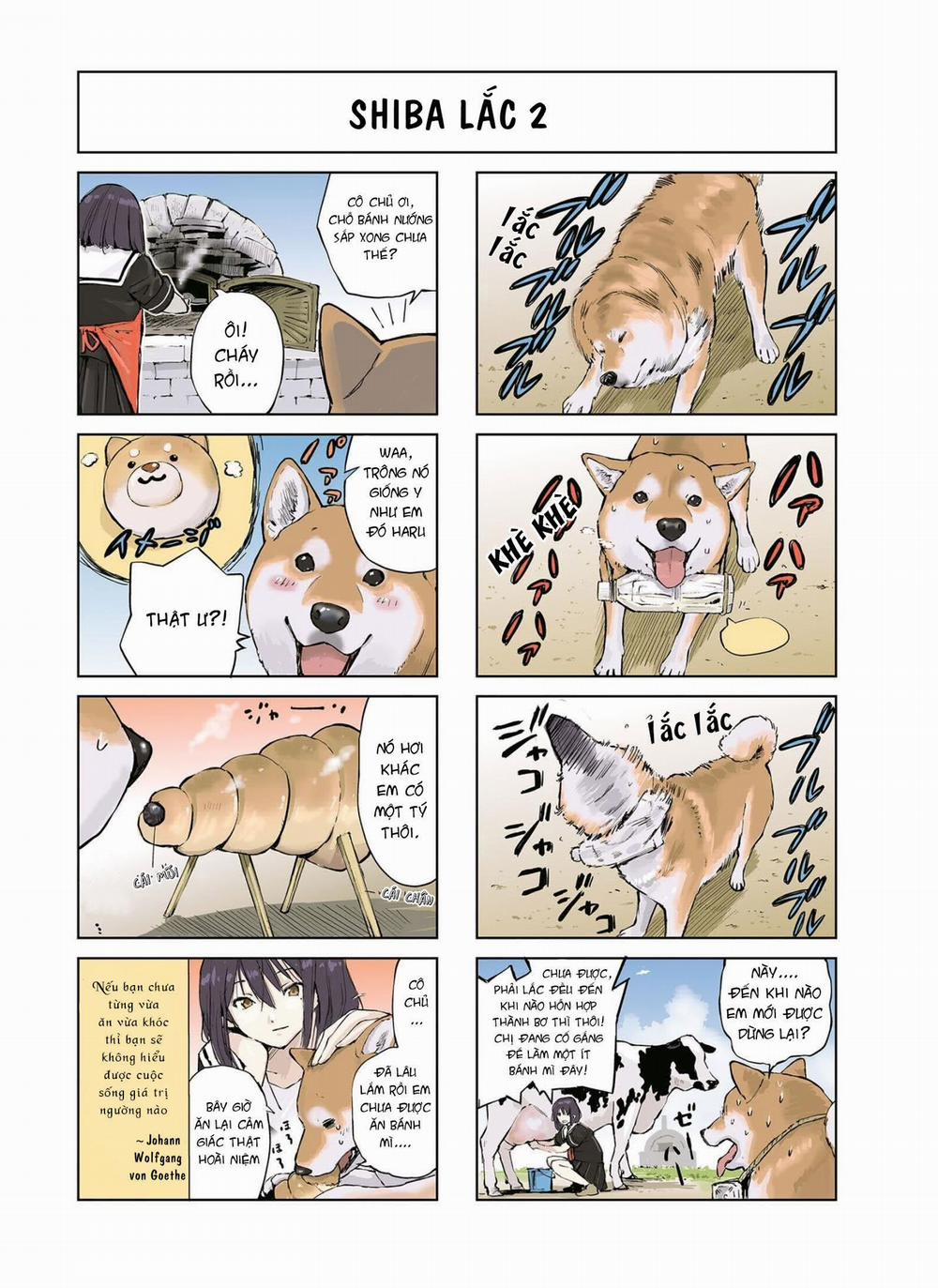 Lang Thang Miền Tận Thế Với Chú Chó Shiba Của Tôi 13 trang 2
