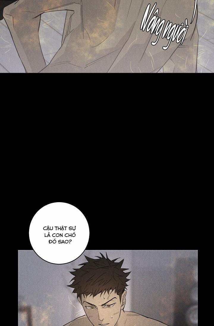 LANG THANG (WANDER OFF) 0 trang 8