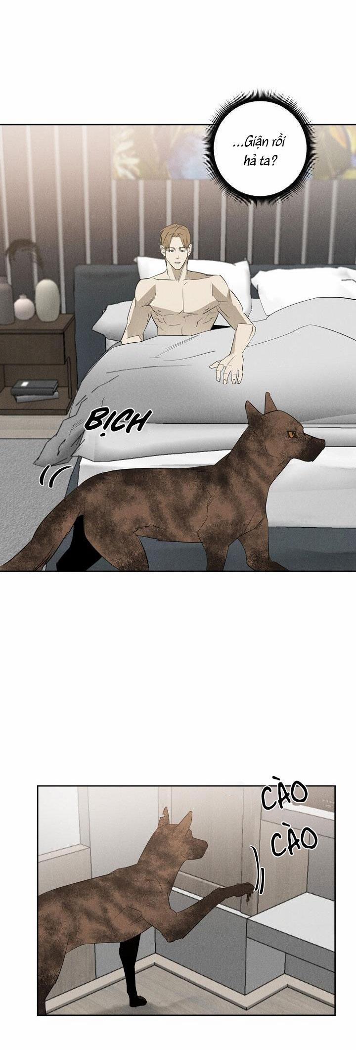 LANG THANG (WANDER OFF) 10 trang 3