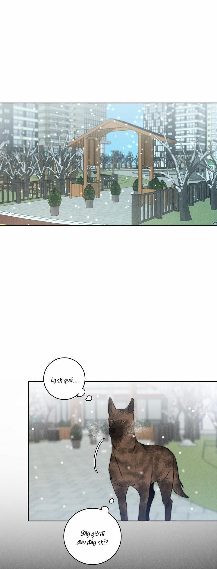 LANG THANG (WANDER OFF) 11 trang 14