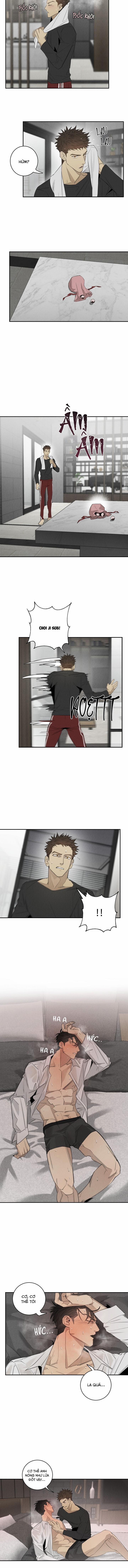 LANG THANG (WANDER OFF) 13.1 PHIÊN VALENTINE trang 4