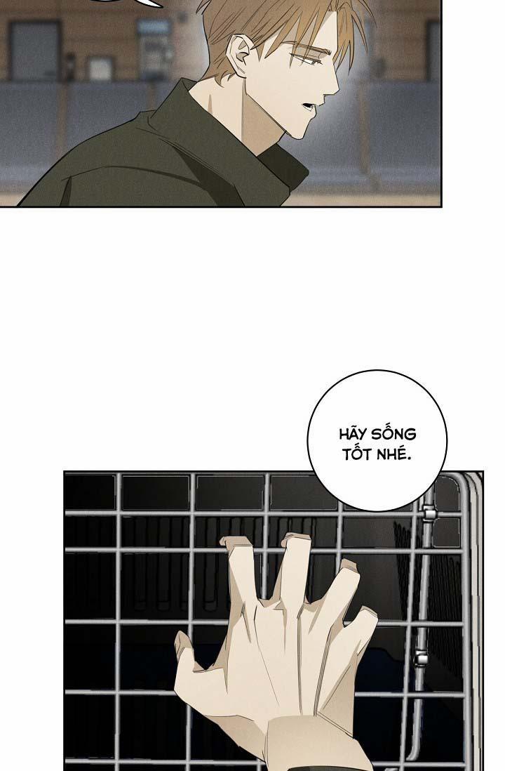 LANG THANG (WANDER OFF) 13 trang 31