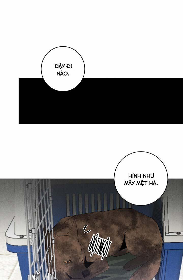LANG THANG (WANDER OFF) 13 trang 42