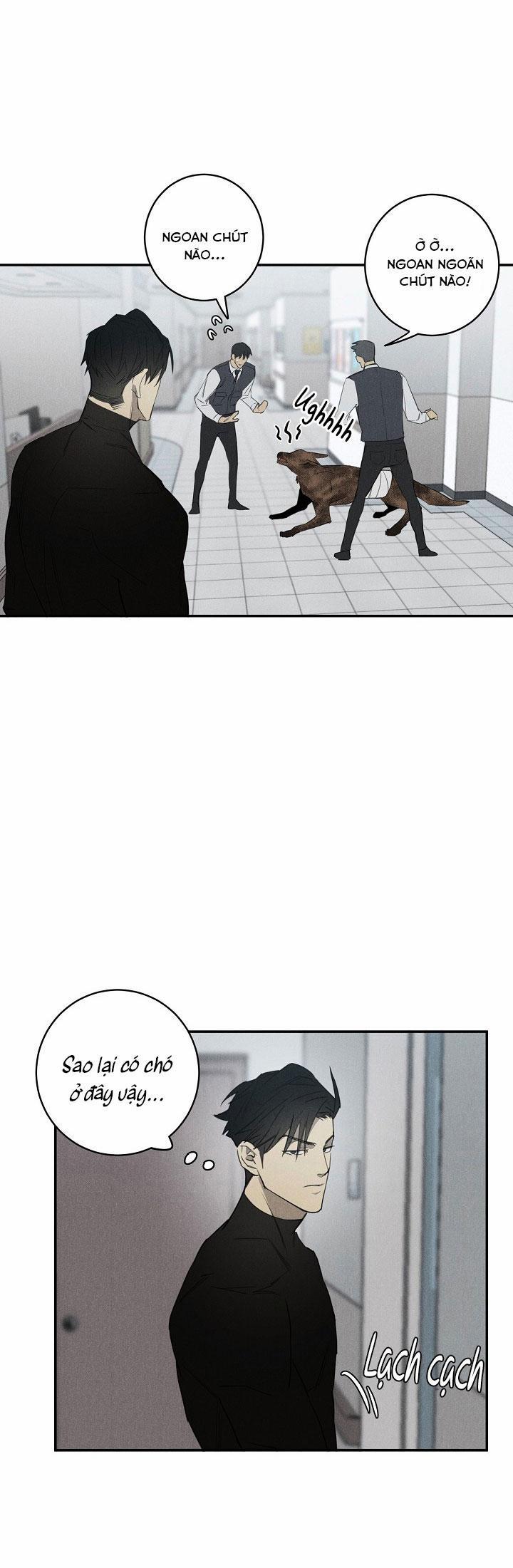 LANG THANG (WANDER OFF) 2 trang 14