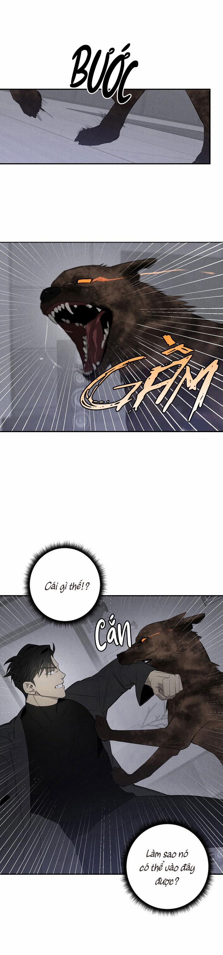 LANG THANG (WANDER OFF) 2 trang 21