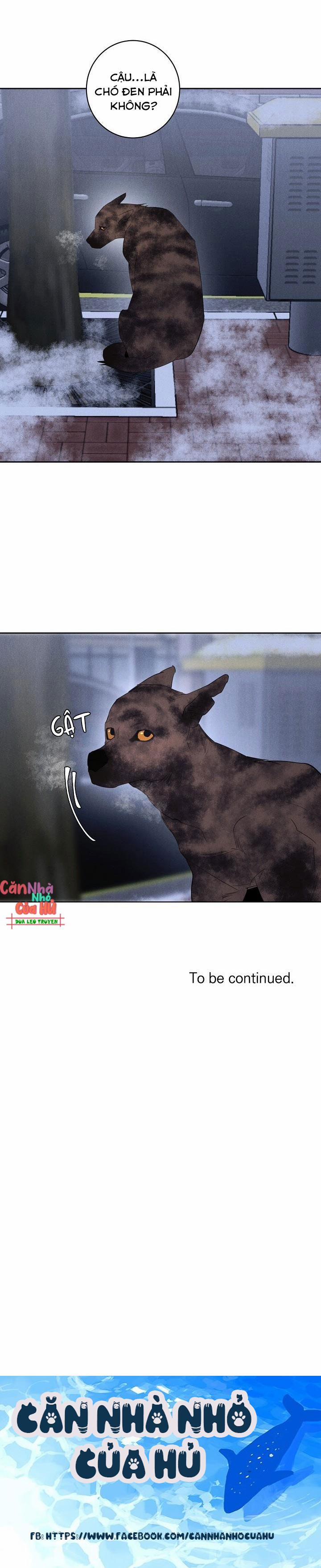 LANG THANG (WANDER OFF) 9 trang 27