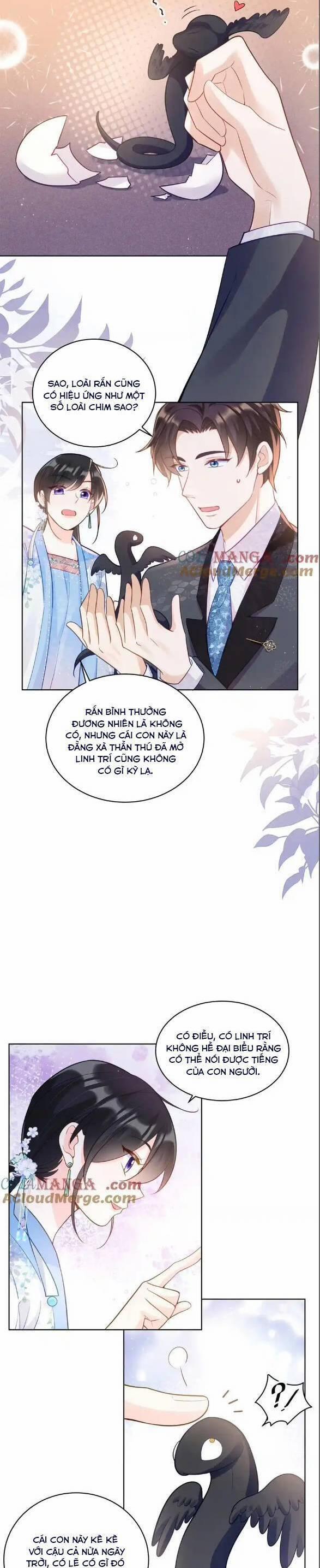 Lão Tổ Tông Vừa Xinh Vừa Ngầu 113 trang 7