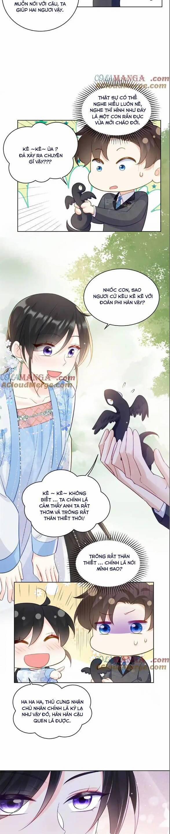 Lão Tổ Tông Vừa Xinh Vừa Ngầu 113 trang 8