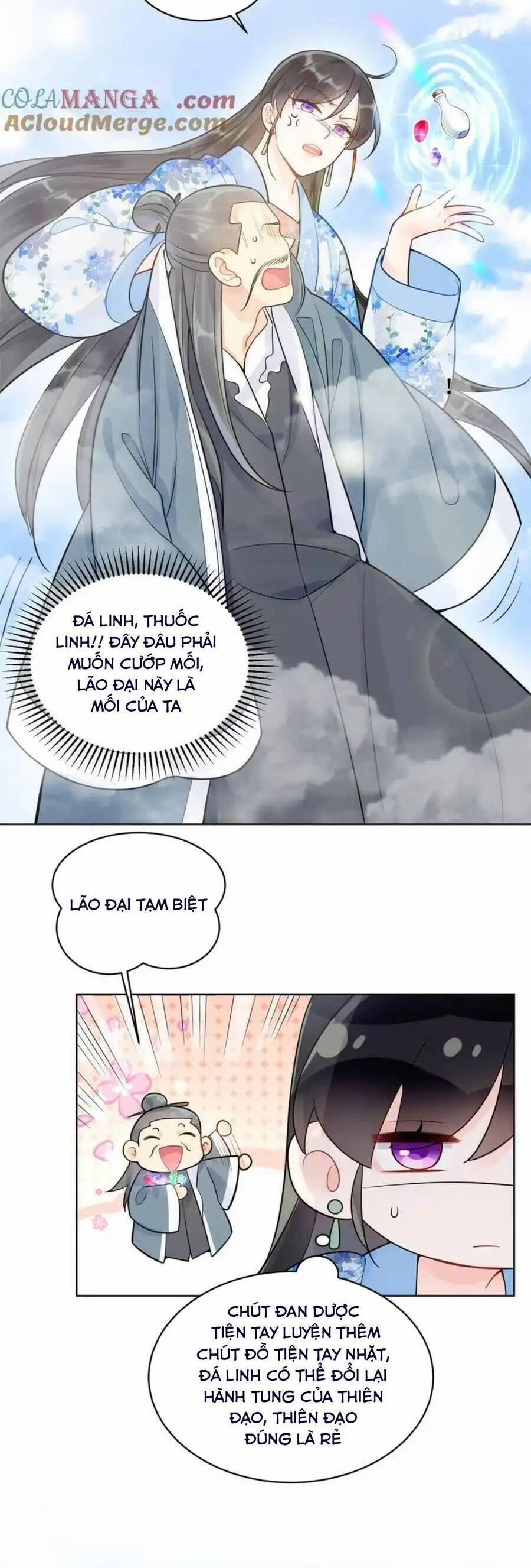 Lão Tổ Tông Vừa Xinh Vừa Ngầu 117 trang 5