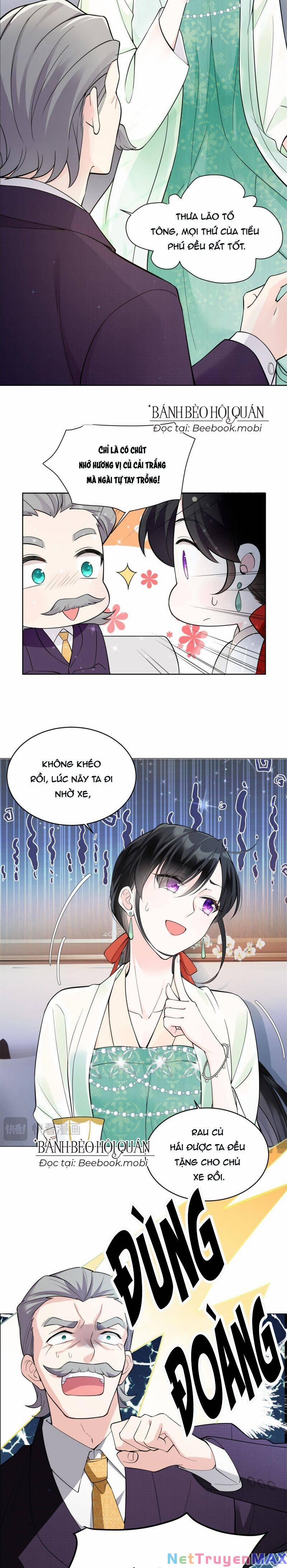 Lão Tổ Tông Vừa Xinh Vừa Ngầu 2 trang 6