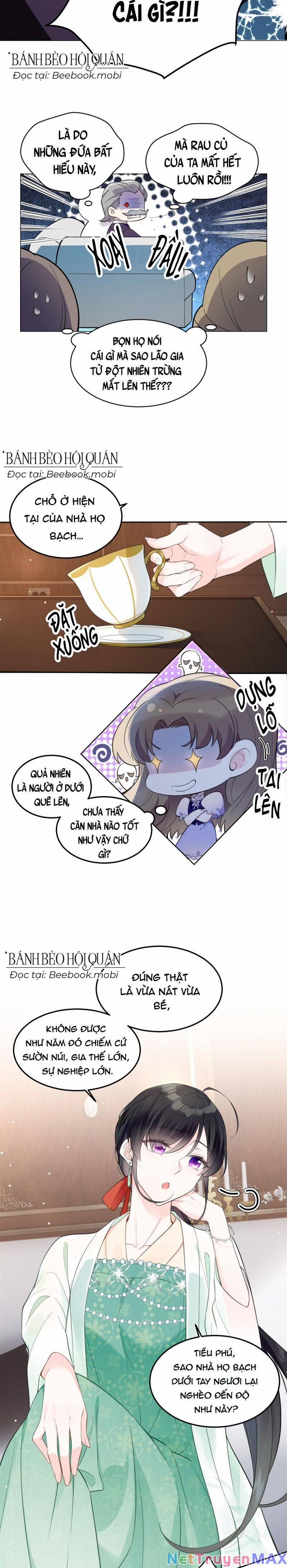 Lão Tổ Tông Vừa Xinh Vừa Ngầu 2 trang 7