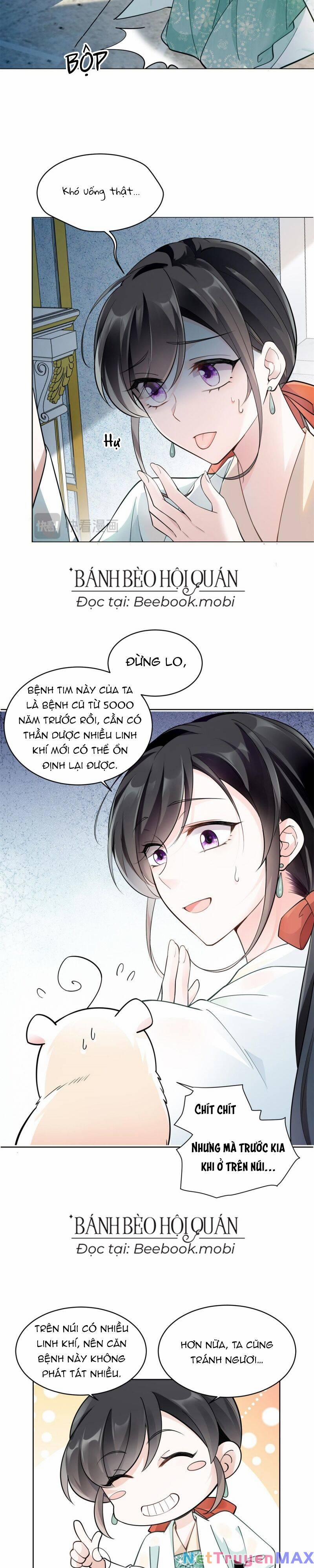 Lão Tổ Tông Vừa Xinh Vừa Ngầu 3 trang 11