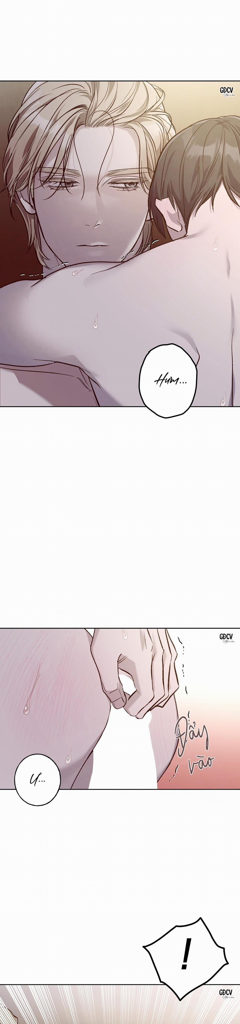 Lâu Đài Gỗ Mun 10 0 trang 20