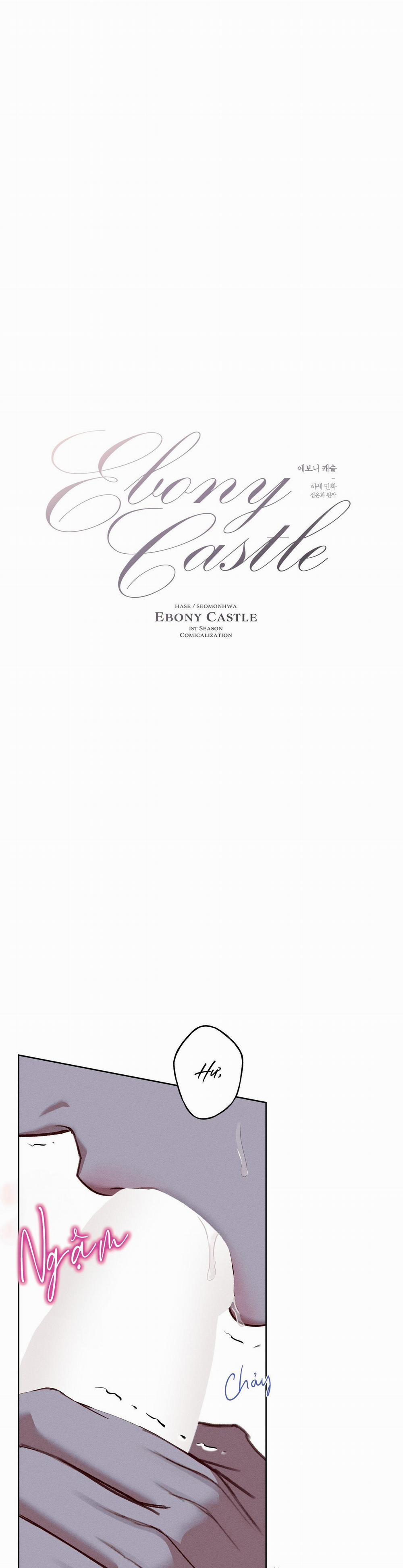 Lâu Đài Gỗ Mun 10 trang 0