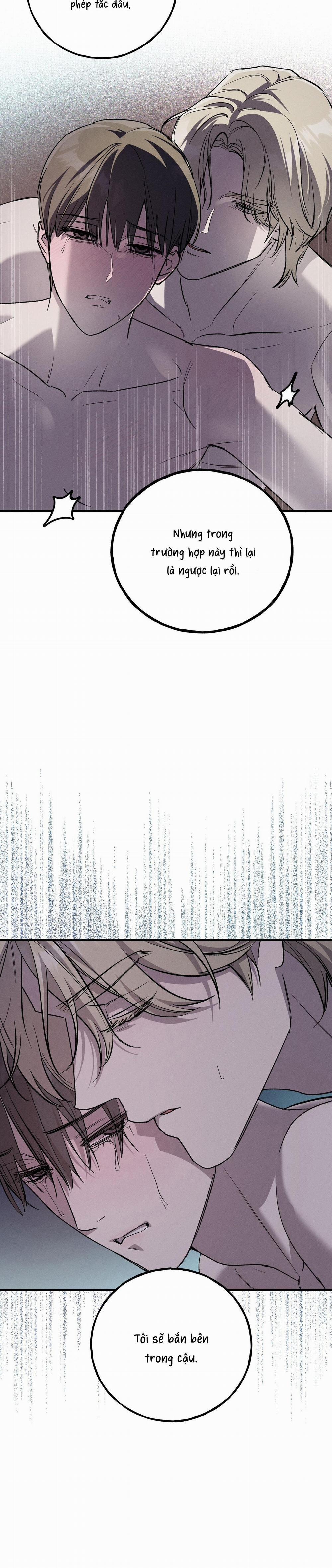 Lâu Đài Gỗ Mun 11 trang 13