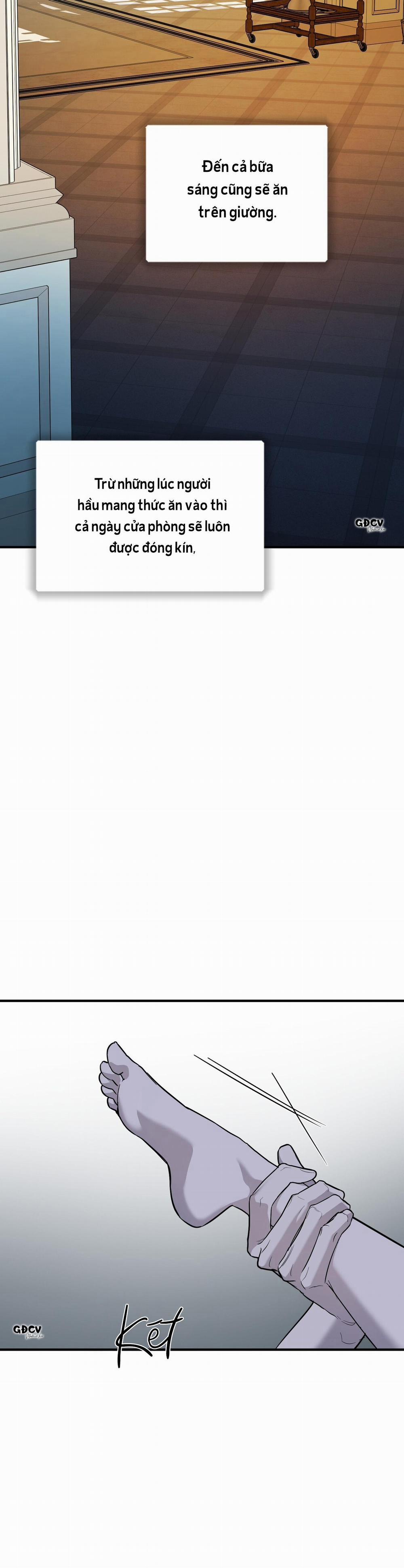 Lâu Đài Gỗ Mun 13 0 trang 21