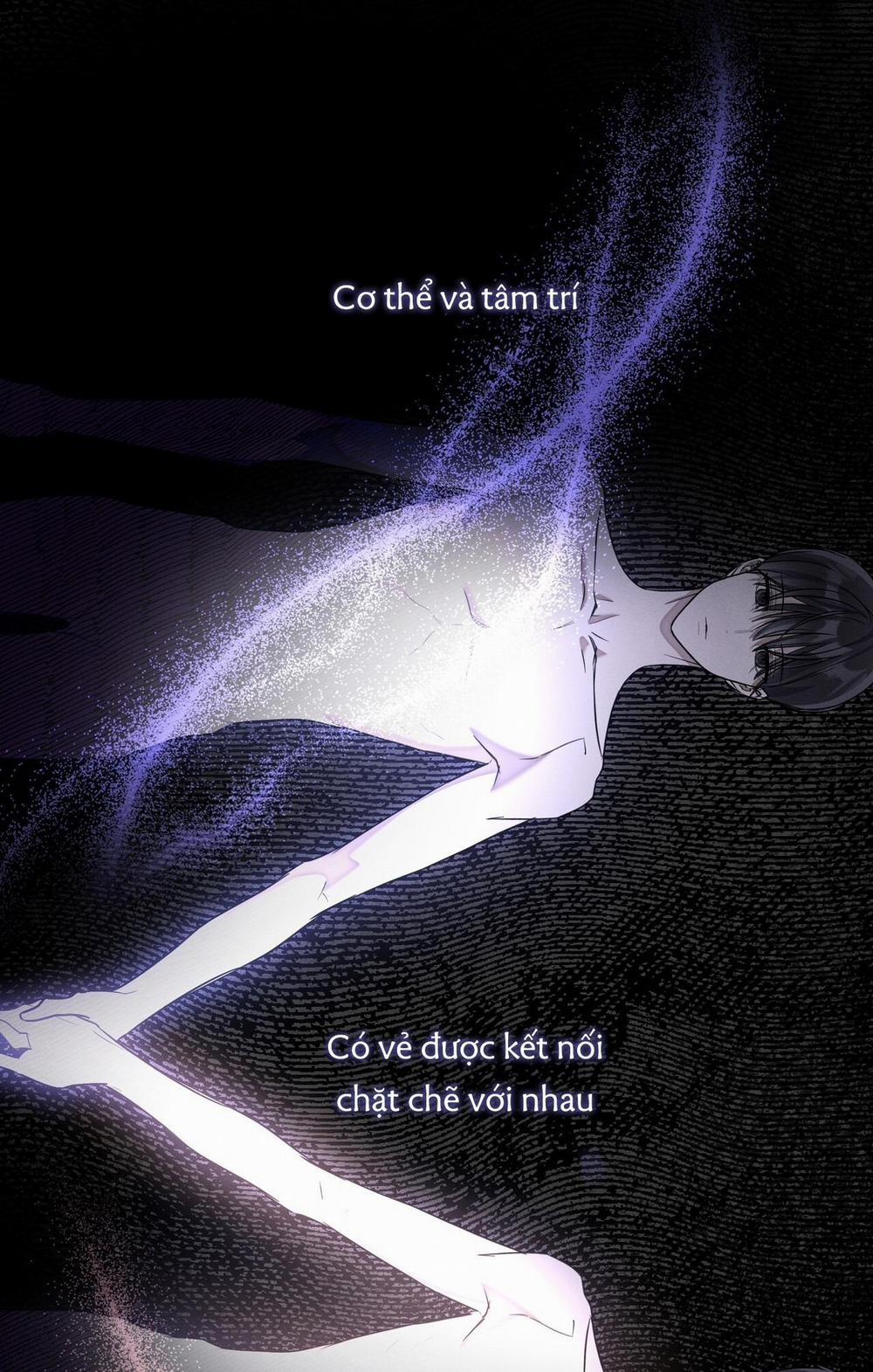 Lâu Đài Gỗ Mun 15 trang 0