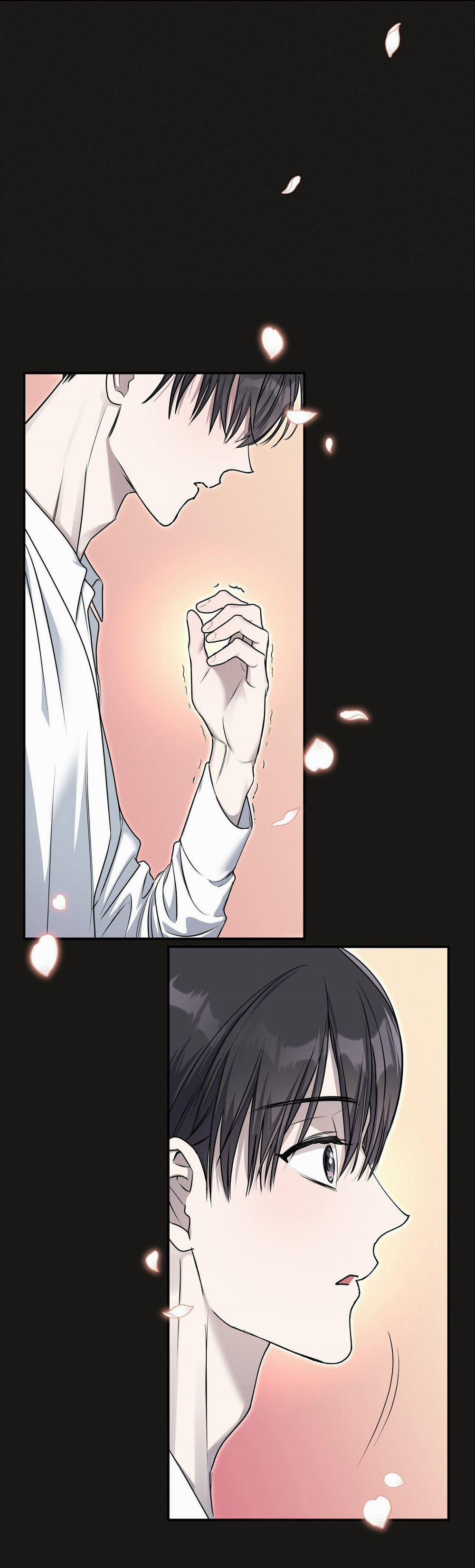 Lâu Đài Gỗ Mun 2 trang 12