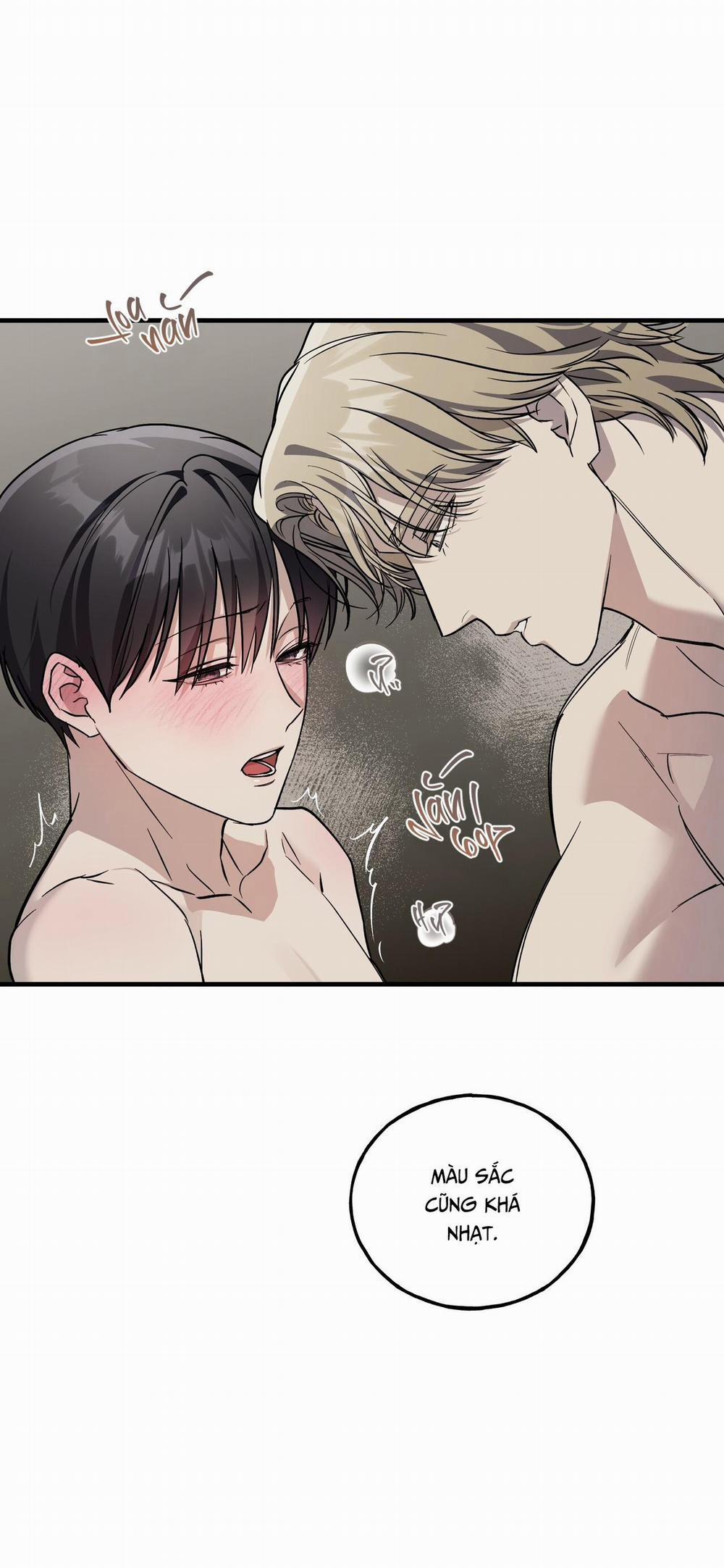 Lâu Đài Gỗ Mun 23 H+ trang 20