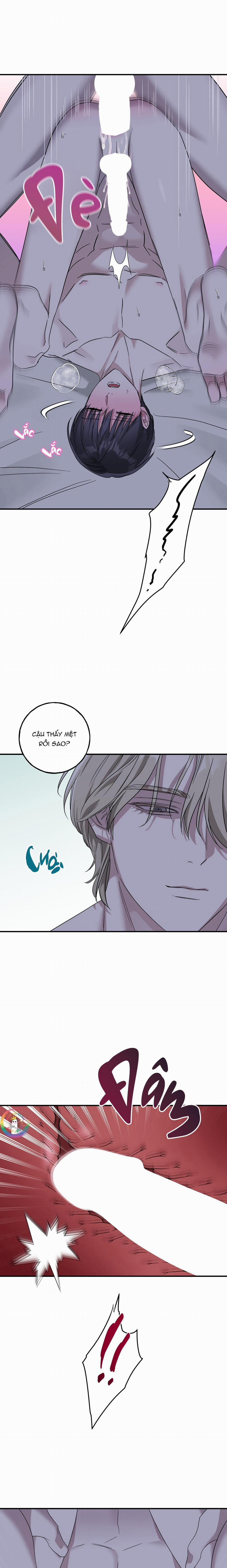 Lâu Đài Gỗ Mun 24 H+ trang 11