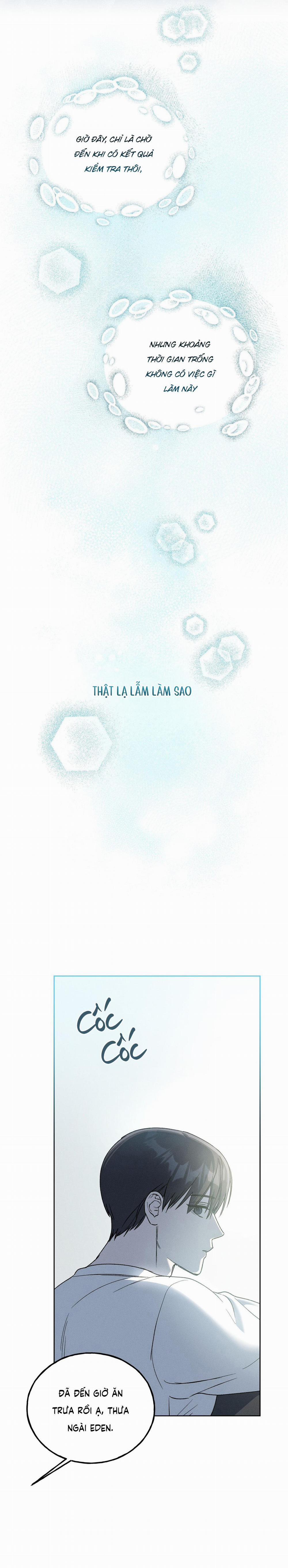 Lâu Đài Gỗ Mun 8 trang 16