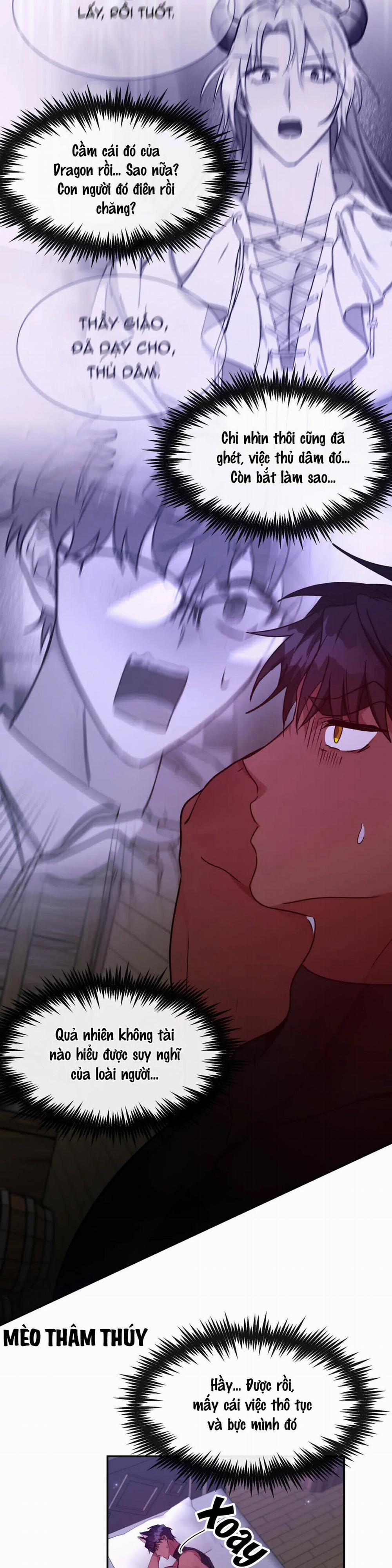 Lâu Đài Tình Ái 13 trang 1