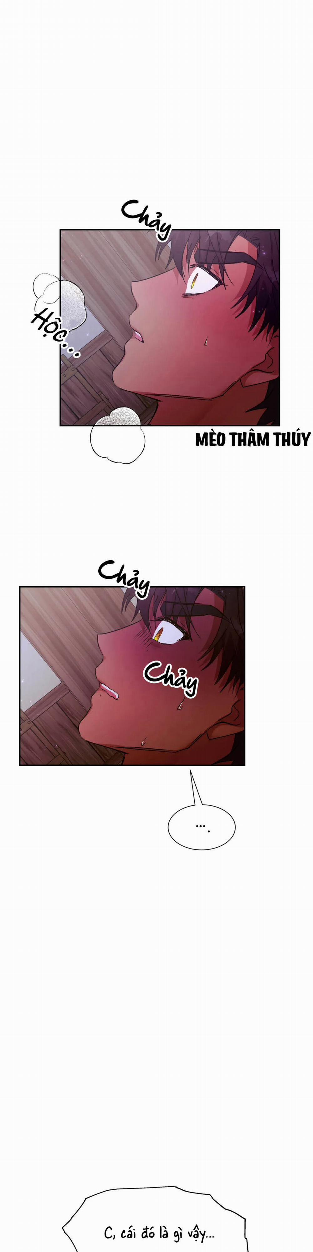 Lâu Đài Tình Ái 13 trang 19