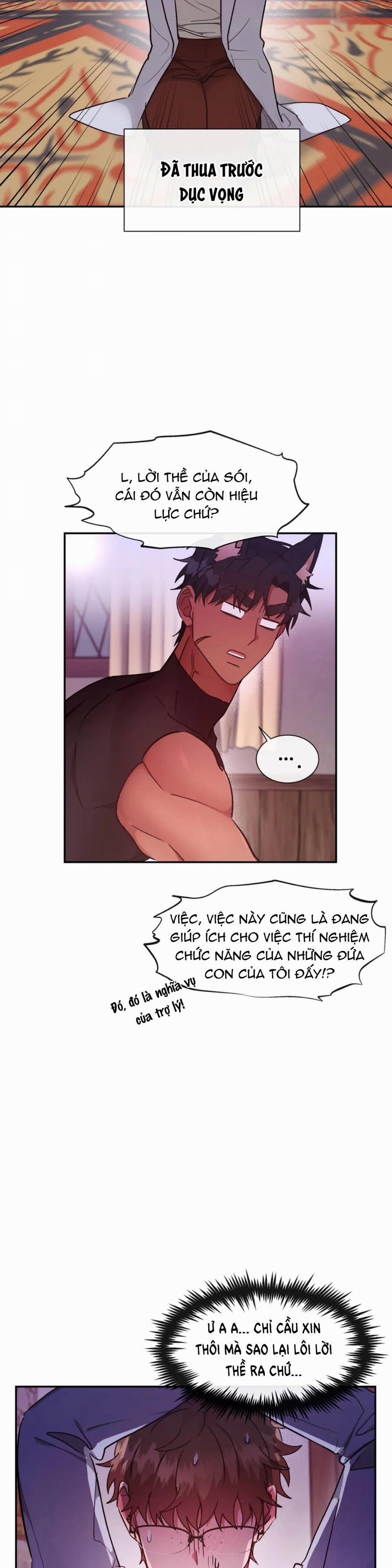 Lâu Đài Tình Ái 14 trang 15