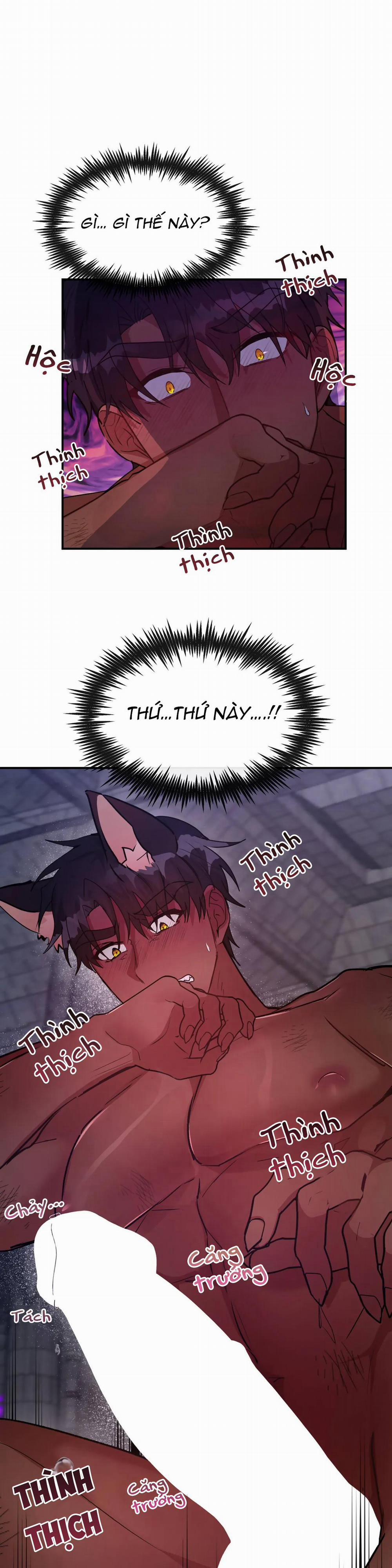 Lâu Đài Tình Ái 8 trang 0