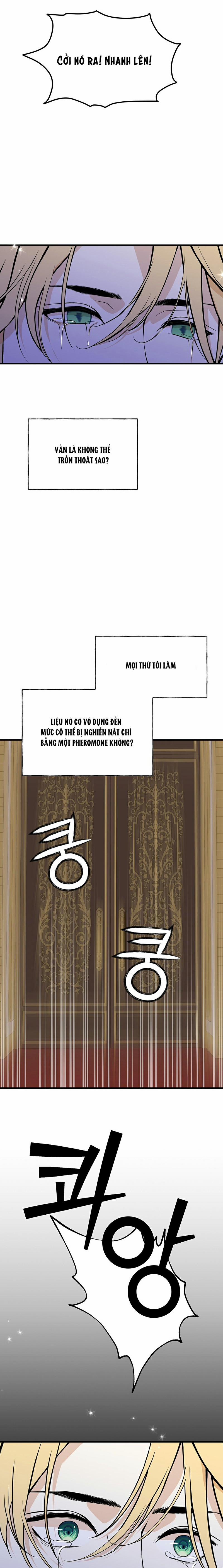 Lễ Cưới Hoàng Gia 12 trang 13