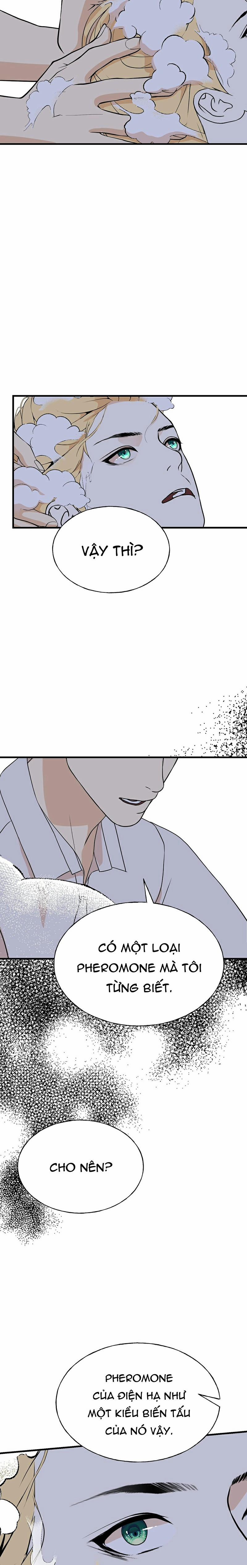 Lễ Cưới Hoàng Gia 13 trang 6