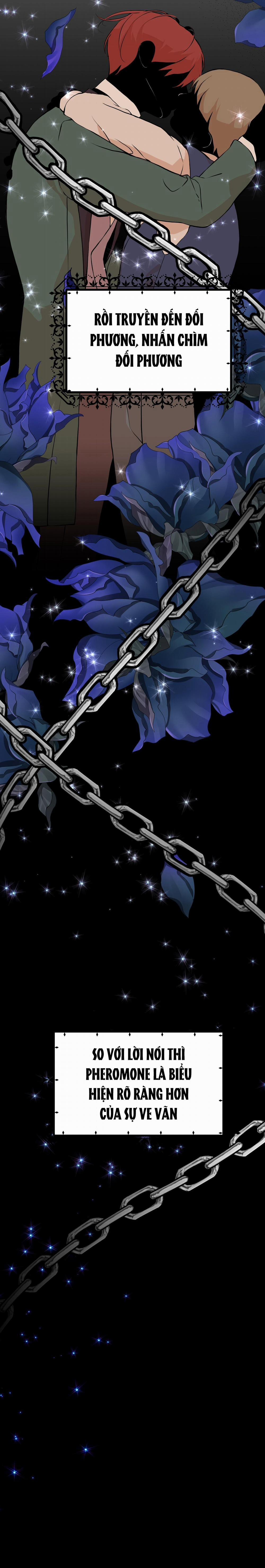 Lễ Cưới Hoàng Gia 2 trang 12