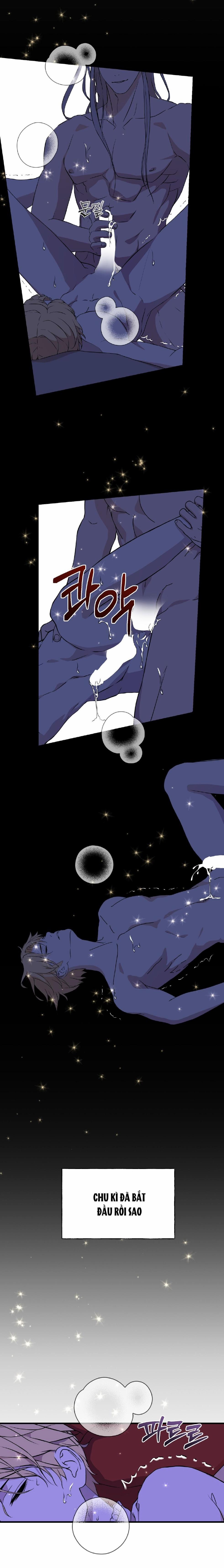 Lễ Cưới Hoàng Gia 5 trang 1