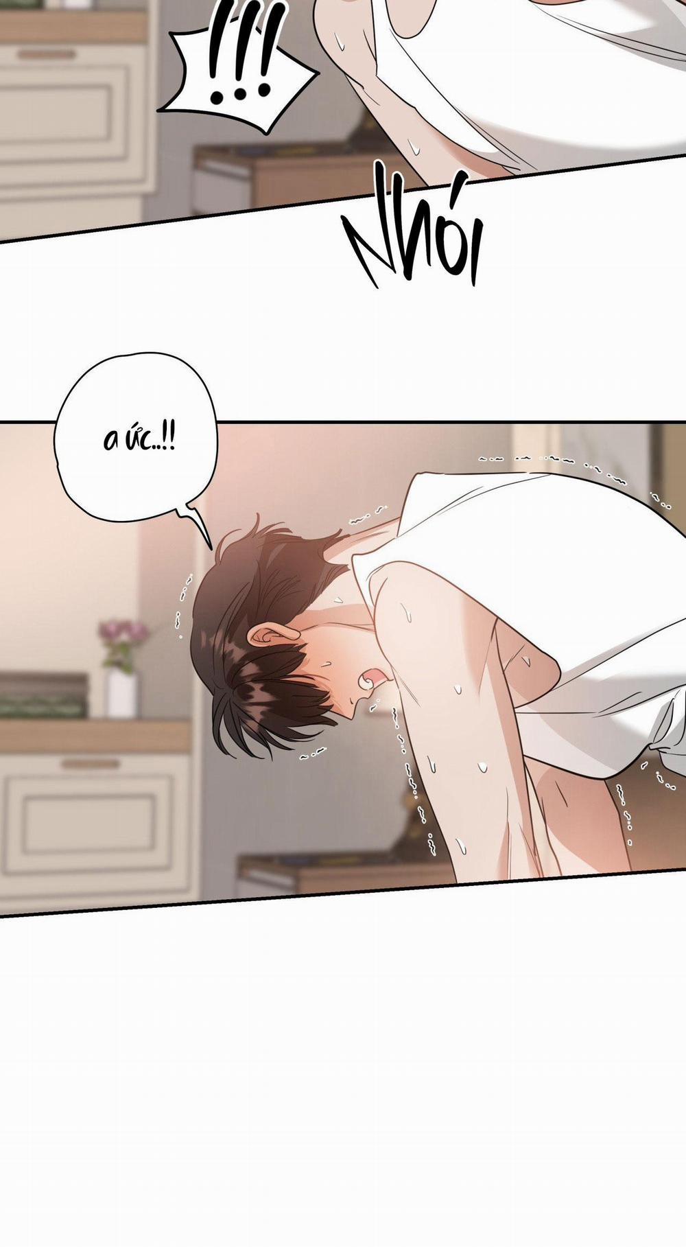 Lệnh Cứu Rỗi 56 trang 37