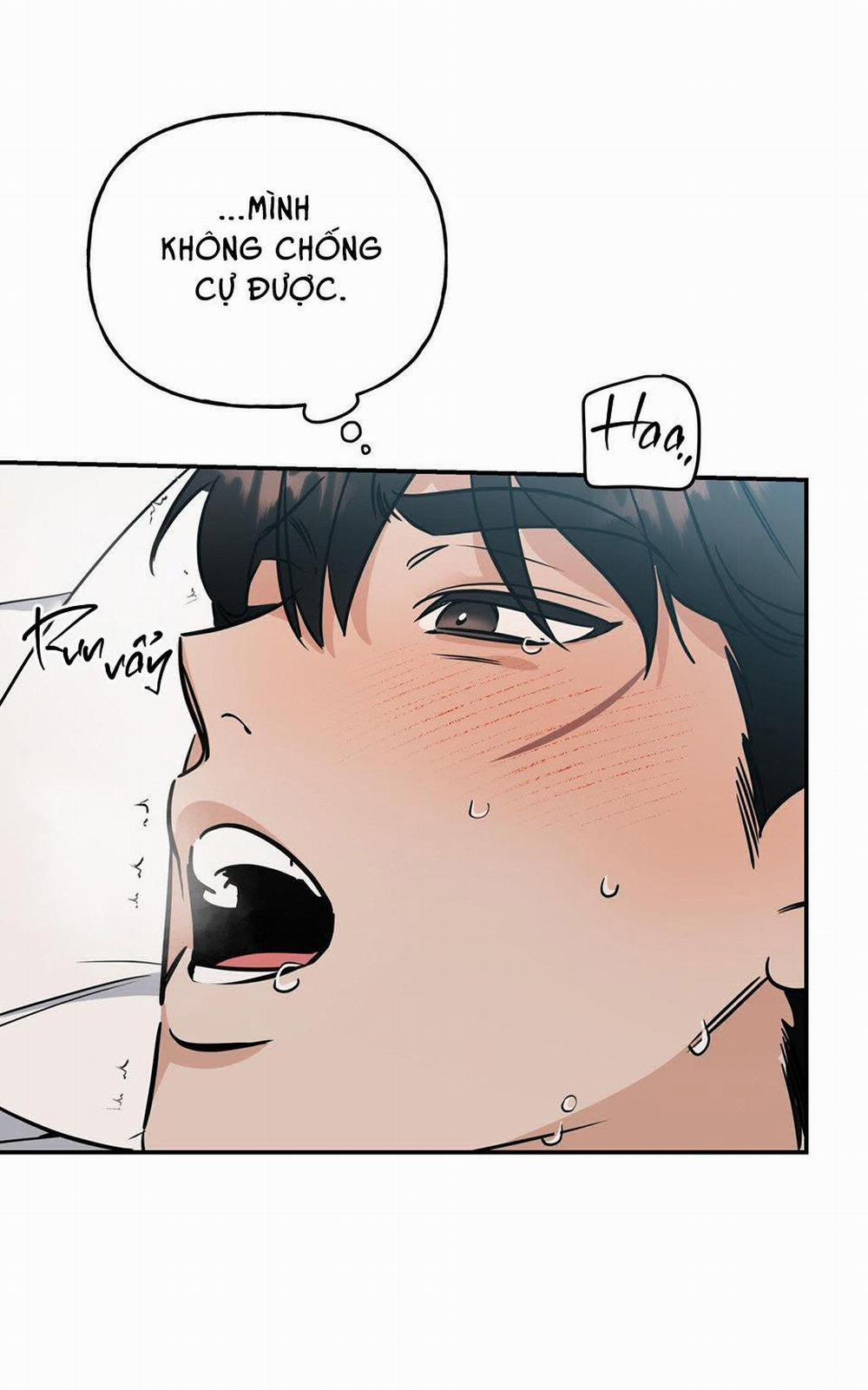 Lệnh Cứu Rỗi 6 trang 48