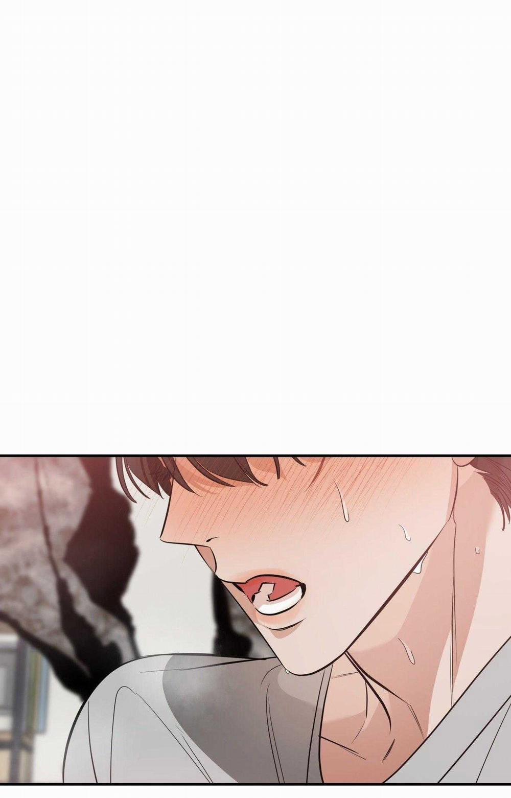 Lệnh Cứu Rỗi 62 trang 48