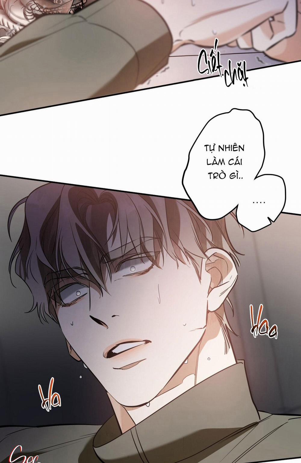 Lệnh Cứu Rỗi 63 trang 21