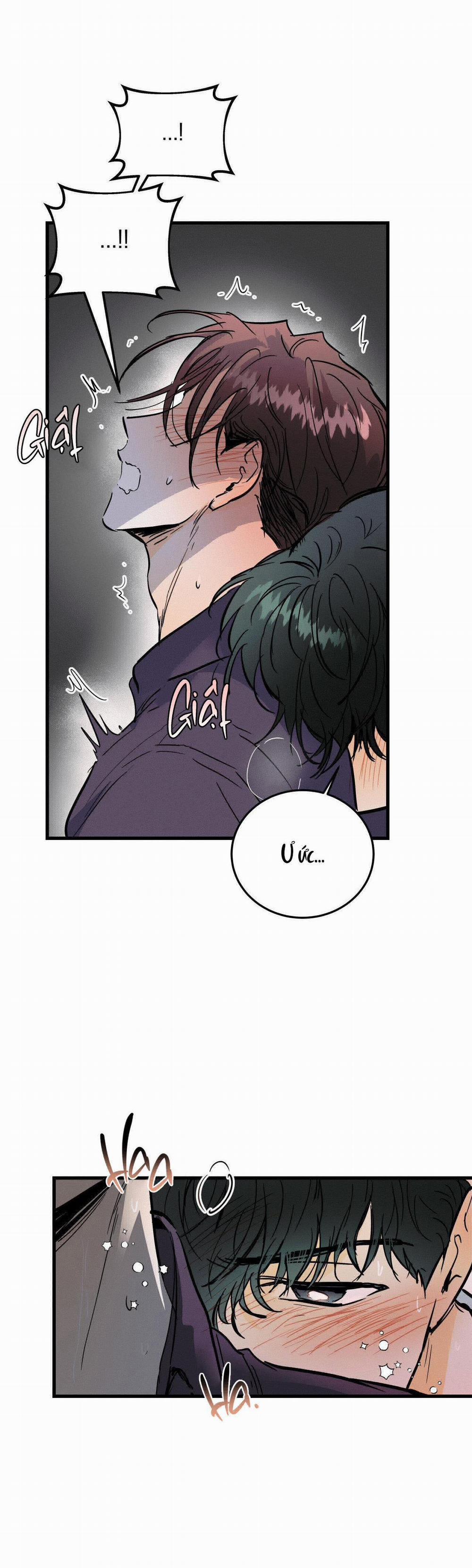 LIE AGAIN 23 trang 5