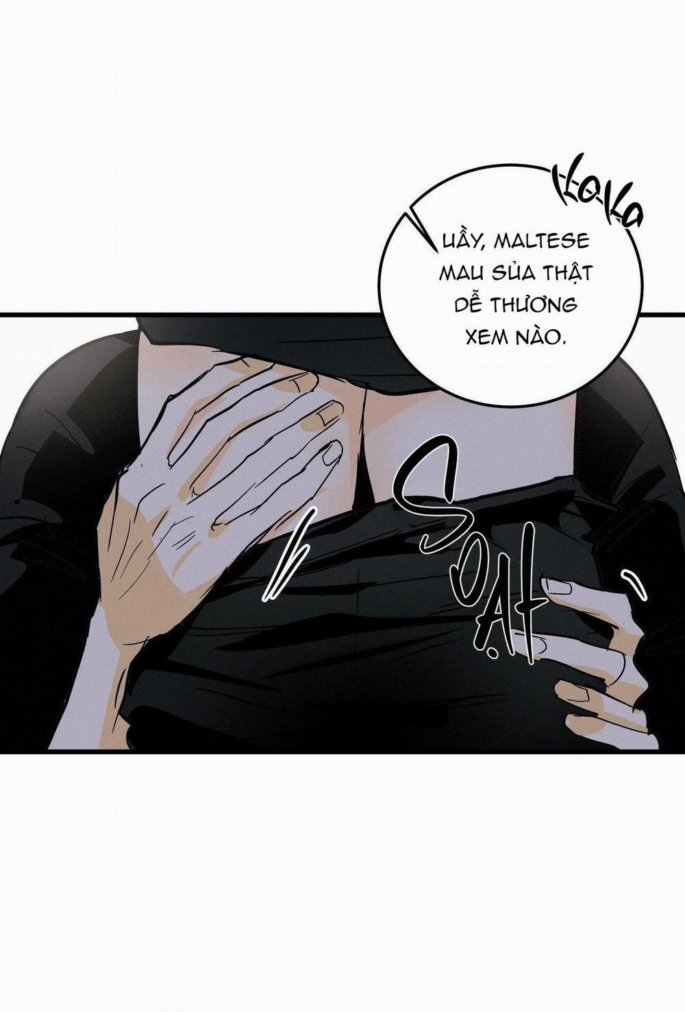 LIE AGAIN 29 trang 24