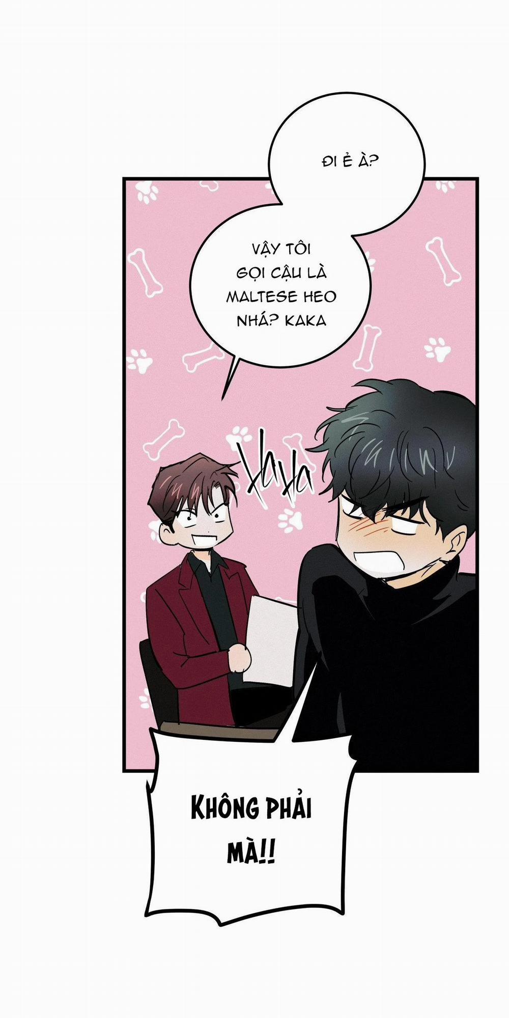 LIE AGAIN 30 trang 44