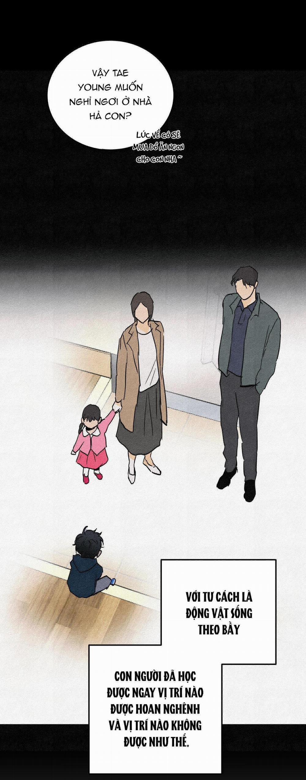 LIE AGAIN 31 trang 16