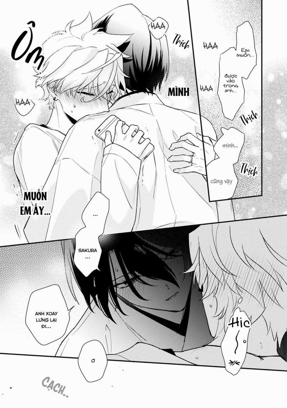 Liên Kết Của Chúng Ta 11 trang 25