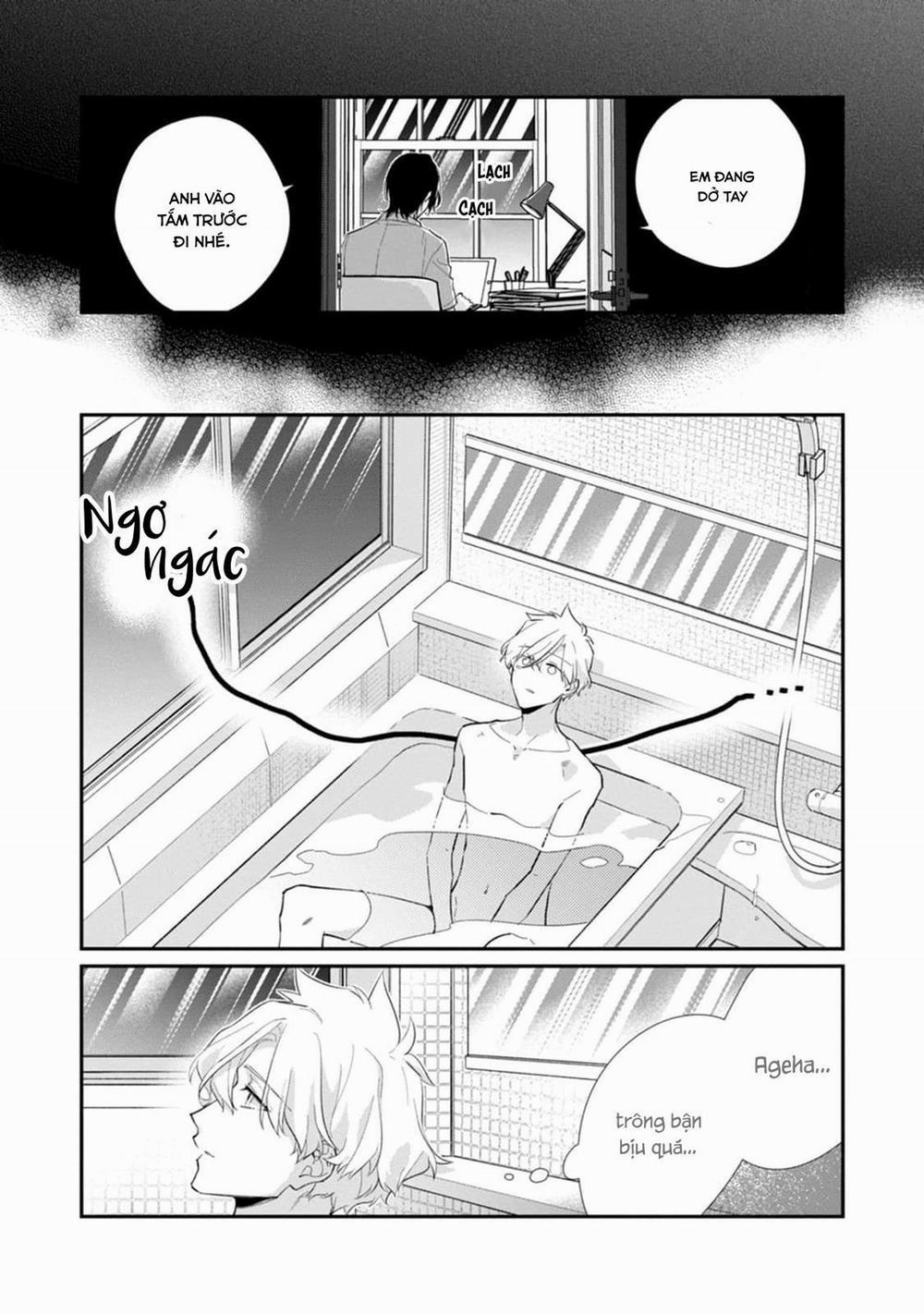 Liên Kết Của Chúng Ta 13 trang 21