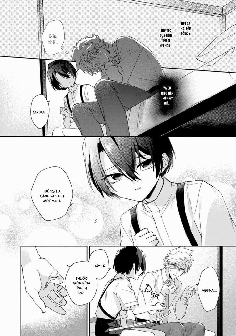 Liên Kết Của Chúng Ta 9 trang 13