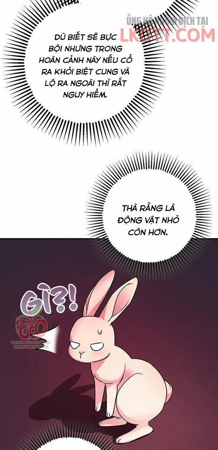 Liều Thuốc An Thần Của Bạo Chúa 21 trang 23