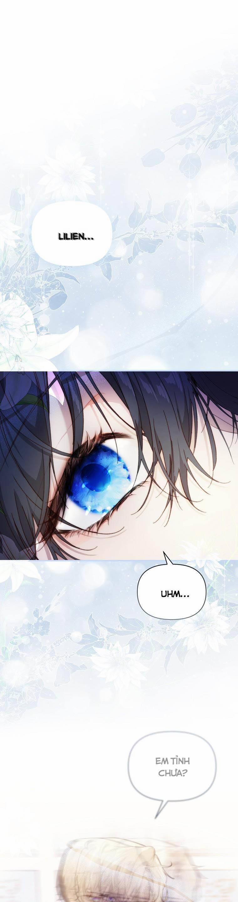 Lilien Của Turin 40 trang 0