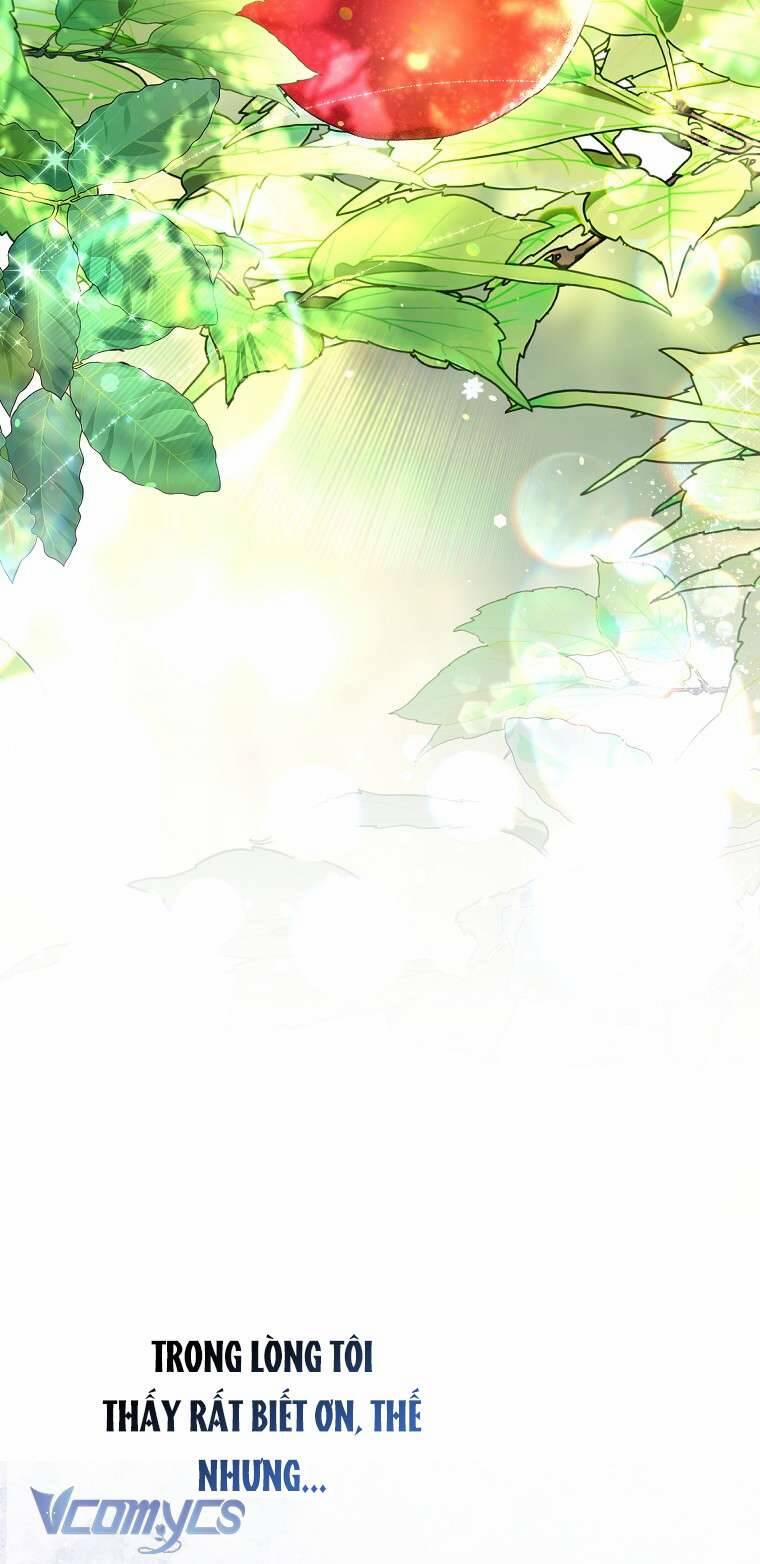 Lilien Của Turin 50 trang 19