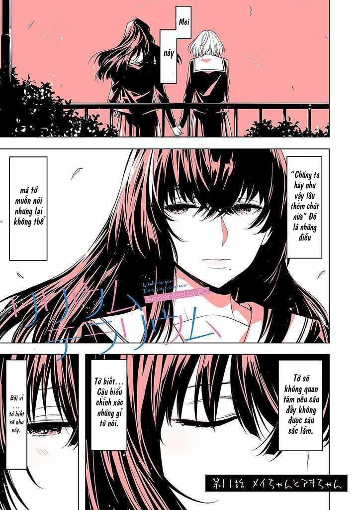 Lilium Terrarium 11 trang 4