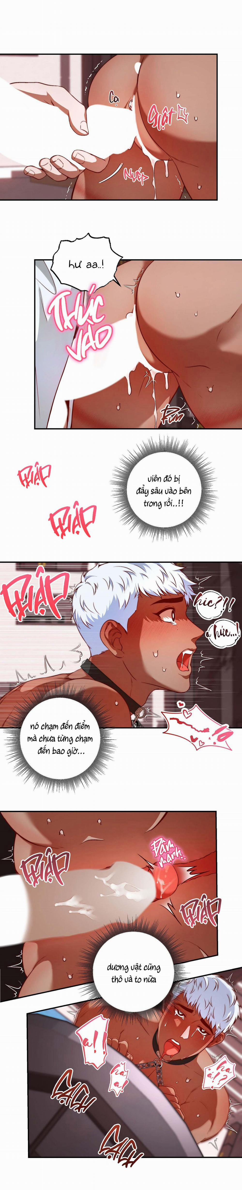 LIST SECRET CLUB 1.3 trang 8